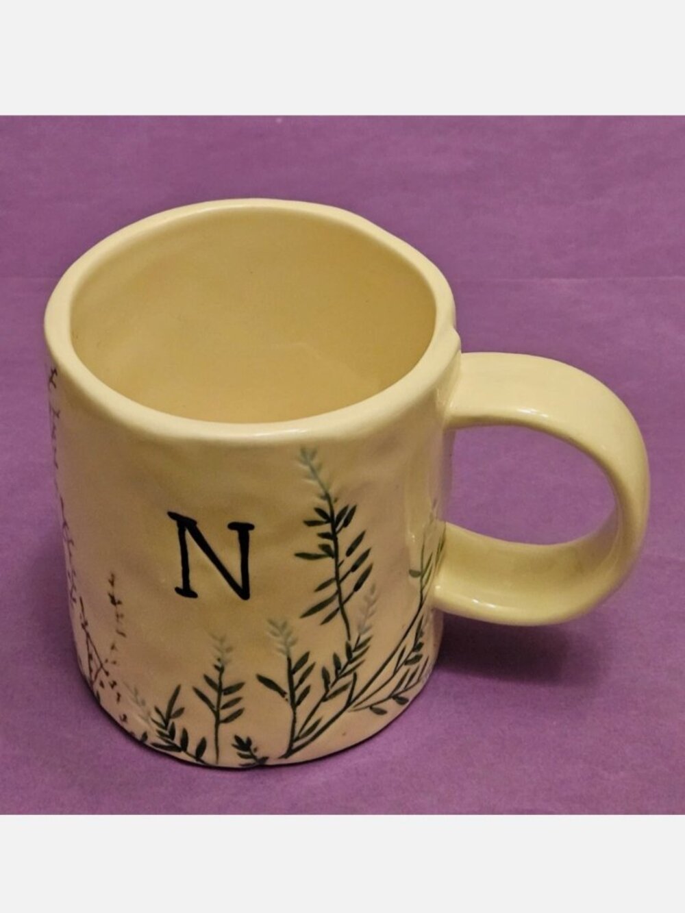 Anthropologie Dagny Initial "N" Hand Painted Botanical Stoneware Mug
